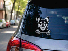 Cargar imagen en el visor de la galería, Stickers para Auto