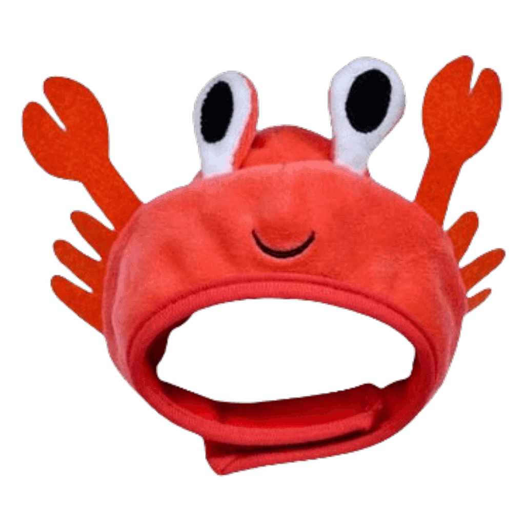 Gorros Divertidos para Mascotas