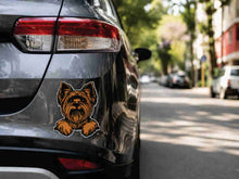 Cargar imagen en el visor de la galería, Stickers para Auto
